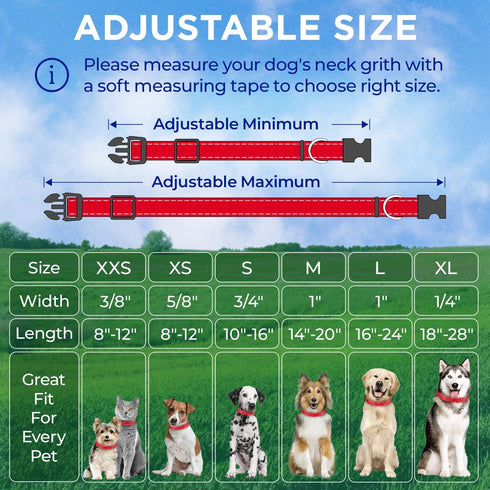TECEUM Reflective Pet Collar – Basic Nylon Dog Collar – Quick Release Buckle – Red – M – Fits Small, Medium and Large