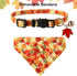 ADOGGYGO Fall Cat Collars with Removable Bandana, Adjustable Autumn Thanksgiving Collar for Cats and Kittens
