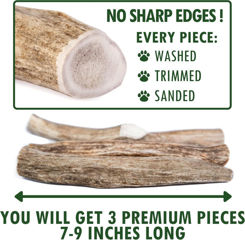 Wildeers Large Deer Antlers for Dogs - Premium Antler Chews - Made in USA, Naturally Shed, Healthy Treat - Grade A, 7-9