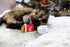 Pearhead Hot Cocoa Christmas Cat Toy Set, Holiday Gift, Set of 2 Plush Rattle Toys