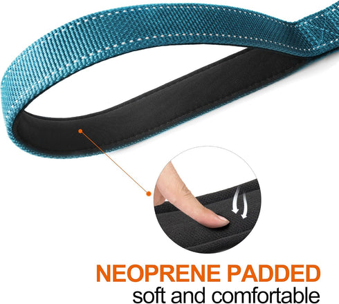TwoEar 5FT 1IN Strong Blue Dog Leash with 2 Padded Handles for Extra Control, Reflective Lead for Small Medium Large