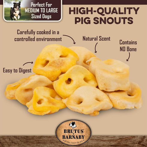 BRUTUS & BARNABY Pig Snout Dog Treat - 100% Natural, Healthy, Easy to Digest, Chemical & Hormone Free Chew