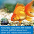 4-Ounce API GOLDFISH PROTECT Aquarium Water Conditioner Bottle