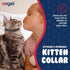 Studded Cat Collar, Genuine Leather Kitten Collar, Midnight Black, 12 x 1/2 inches, Breakaway with Bell