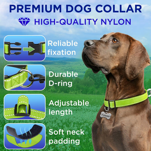 TECEUM Reflective Pet Collar – Acid Green – XS – Extra Soft Padding – Basic Nylon Dog Collar – Quick Release Buckle – Fits Small, Medium and Large Dogs, Puppies, Cats – ESA & Service Dog Options