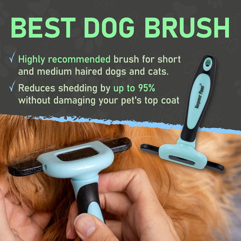 Maxpower Planet Pet Grooming Deshedding Dog Brush - Cat and Dog Deshedding Brush Tool - Deshedder for Dogs Comb - Dog Brush Short Hair and Medium Pet Hair - Reduces Shedding up to 95% - Blue