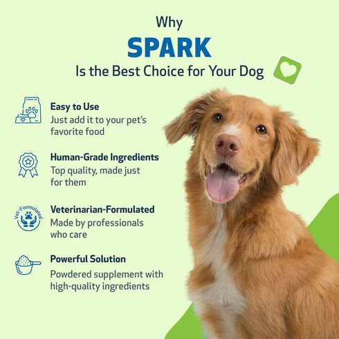 Pet Wellbeing Spark Daily Nutritional Greens Superfood for Dogs & Cats - Probiotics, Digestive Enzymes, 3.53 oz