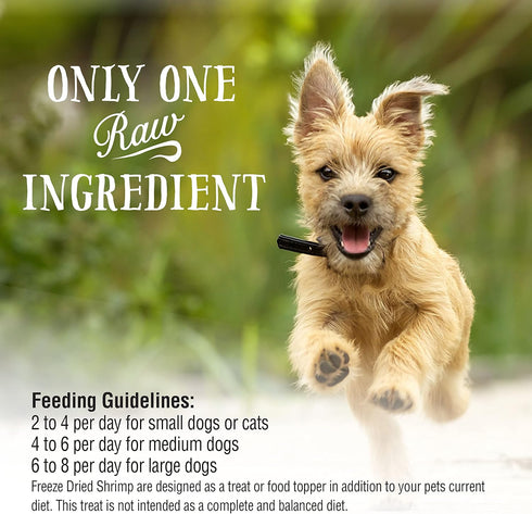 Northwest Naturals Raw Rewards Freeze-Dried Shrimp Treats for Dogs and Cats, Healthy, 1 Ingredient, 1 Oz
