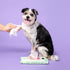RAW SUGAR Dog Wipes, 3 Pack, 60 Ct - Waterless Pet Grooming Wipes with Chamomile & Aloe Vera for Paws, Coat, Face & Ears