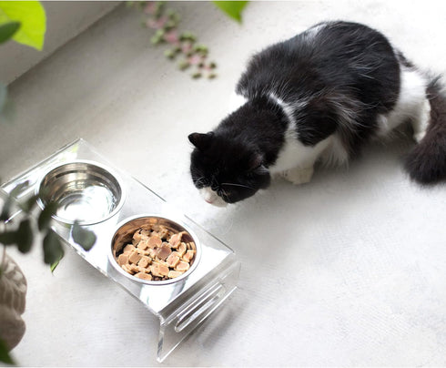 Tilted Raised Elevated Food and Water Bowls Stand for Cat or Small Dogs, Clear Acrylic Stainless Steel Dishes Holder