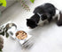 Tilted Raised Elevated Food and Water Bowls Stand for Cat or Small Dogs, Clear Acrylic Stainless Steel Dishes Holder