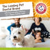 Arm & Hammer for Pets Nubbies Duality Bone Dental Dog Toy, Best Chew Toy for Moderate Chewers - Green Apple
