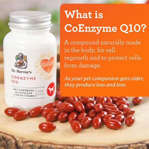 Dr. Harvey's Coenzyme Q10, Heart & Cardiovascular Support Supplements for Dogs, 60 Capsules