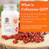 Dr. Harvey's Coenzyme Q10, Heart & Cardiovascular Support Supplements for Dogs, 60 Capsules