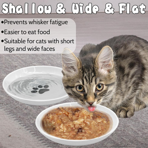 BNOSDM 4 Pcs Cat Food Bowls, Ceramic Shallow Dishes with Non-Slip Silicone Bottom for Indoor Cats and Dogs