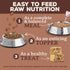 Primal Freeze Dried Dog Food Nuggets, Pork, Complete & Balanced Meal, 14 oz