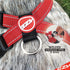 EzyDog Premium Chest Plate Reflective No-Pull Padded Comfort Dog Harness, Perfect for Training and Walking, Small, Red