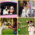 Sosation 10 Pcs Dog Chew Toys for Aggressive Chewers, Tough Puppy Teething Bones for All Breeds