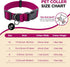 Classic Large Dog Collar for Mini Dogs, Extra Small Puppy Collar with Buckle, D-Ring, Removable Tag (15.7"-23.6" L, 1"