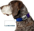 Buckle-Down Seatbelt Buckle Dog Collar - Galaxy Blues/Purples, 1" Wide, Fits 9-15" Neck
