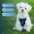 Best Pet Supplies Voyager Step-in Lock Pet Harness - Adjustable All Weather Mesh for Cats and Dogs, Royal Blue/Black