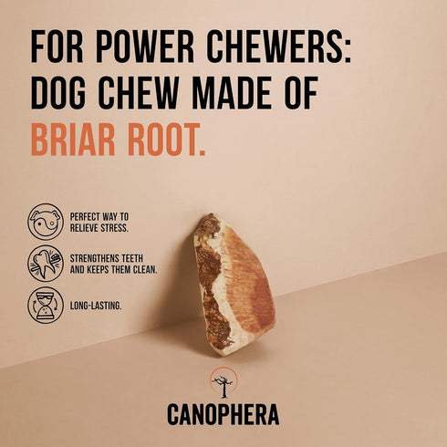 Dog Chew Root Made of Briar Wood, Xtra Large