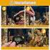 Fish Tank Digital Thermometer with MAX/MIN LCD Display for Water Temperature Measurement (1, Orange, M)