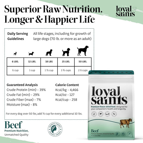 14 Oz Freeze Dried Raw Dog Food - Premium Beef Flavor with High Protein and Grain Free Dog Food for Small or Large