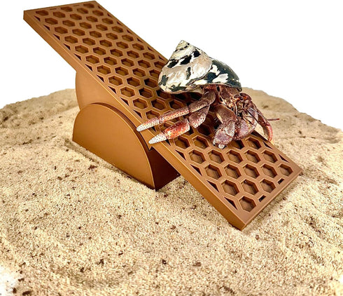 Lucky Critter Hermit Crab Toy Seesaw | Hermit Crab Toys Tank Decor