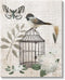 Stupell Industries Botanical Bird Cage Vintage Words Butterfly Motif Canvas Wall Art by Nan