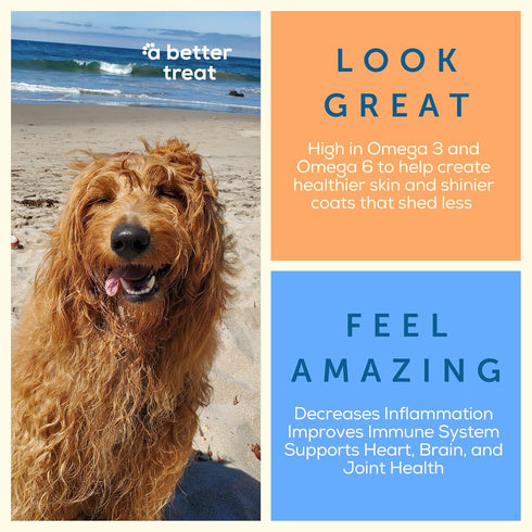 Freeze Dried Beef Liver Dog Treats, Grass Fed, Single Ingredient | Natural, Healthy, High Protein, Diabetic Friendly |