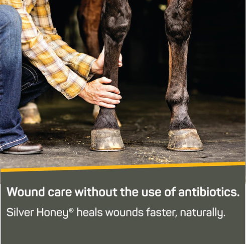 2oz Absorbine Silver Honey Rapid Wound Repair Ointment Tube, Manuka Honey + MicroSilver BG, Horse & Large Animal Wound