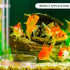 12 Pieces Shrimp Feeding Tube and Dish Set - 4 Acrylic Shrimp Feeding Tubes & Clear Bowls for Fish Tank Supplies