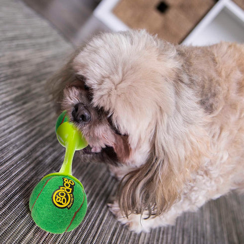 goDog Holiday Collection goBone Double-Sided Tennis Ball Bone Dog Toy - Green/Red, Large
