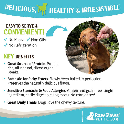 Raw Paws Water Buffalo Lung Treats for Dogs, 16-oz - Free Range USA Packed Dehydrated Lung Steak Treats
