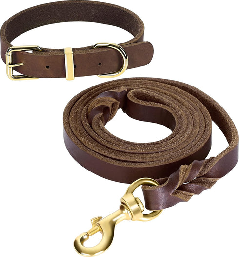 Guiding Star 5ft Leather Dog Leash and Collar Set, Soft Braided Leather Leash with Adjustable Collar for Small Medium