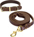 Guiding Star 5ft Leather Dog Leash and Collar Set, Soft Braided Leather Leash with Adjustable Collar for Small Medium