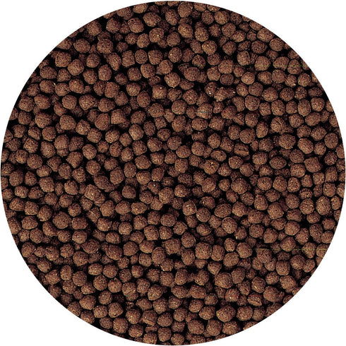 Hikari 2-Ounce Cichlid Bio-Gold Floating Pellets for Pets, Mini