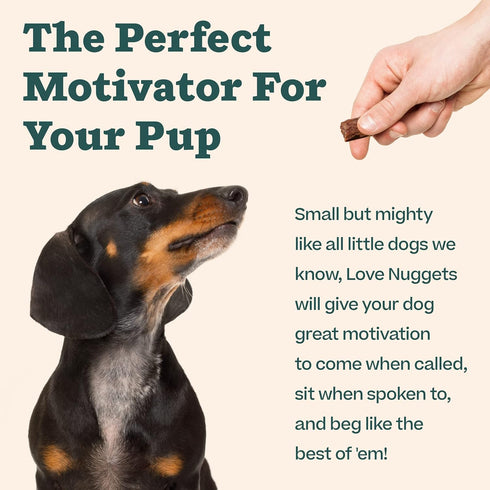 WOOF Love Nuggets - Made in The USA Bite-Sized Beef Jerky Training Treats for Dogs