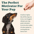 WOOF Love Nuggets - Made in The USA Bite-Sized Beef Jerky Training Treats for Dogs