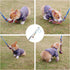 DIBBATU Flirt Pole for Dogs Interactive Dog Toys for Large Medium Small Dogs Chase and Tug of War, Dog Teaser Wand