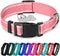 TECEUM Reflective Dog Collar – Pink – M – Basic Nylon Pet Collar, Quick Release Buckle