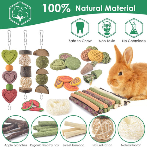 3 Chinchilla, KATUMO Rabbit Chew Toys with Types of Strung Hanging Toys, Natural Bunny Teeth Care Chew Kit Apple Wood