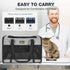 2 25 lbs, 20x13x13 Cat Carrier for Cats/Kitten, Pet Carrier for Cat, Puppy, Small Dog & Bunny, Foldable Soft-Sided