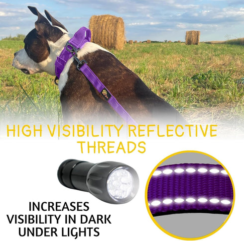 Heavy Duty Bungee Dog Leash - 6 ft to 7.5 ft for Large and Medium Dogs, No Pull Reflective Tactical Leash with Soft