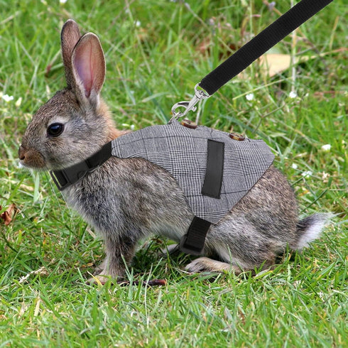 Rabbit Vest Harness and Leash Set, Adjustable Formal Suit Style for Bunny, Kitten, Small Animal Walking (L)