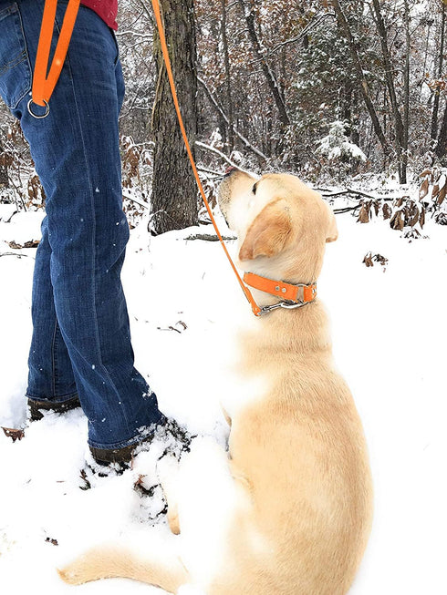 Regal Dog Products Waterproof Dog Collar and Leash Set, Small Orange, Vinyl Coated, Biothane, 5' Leash