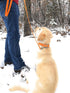 Regal Dog Products Waterproof Dog Collar and Leash Set, Small Orange, Vinyl Coated, Biothane, 5' Leash