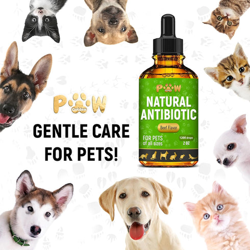 Natural Antibiotic for Cats and Dogs | 2 Oz Beef Dietary Supplement | Cat and Dog Antibiotics