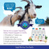 Shepherd Boy Farms Freeze Dried Raw Goats Milk with Probiotics for Dogs & Cats, Organic USA Fruits, High Protein Food